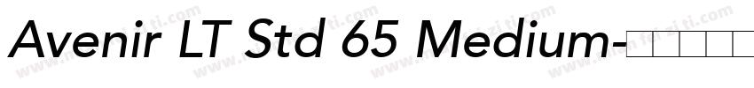 Avenir LT Std 65 Medium字体转换